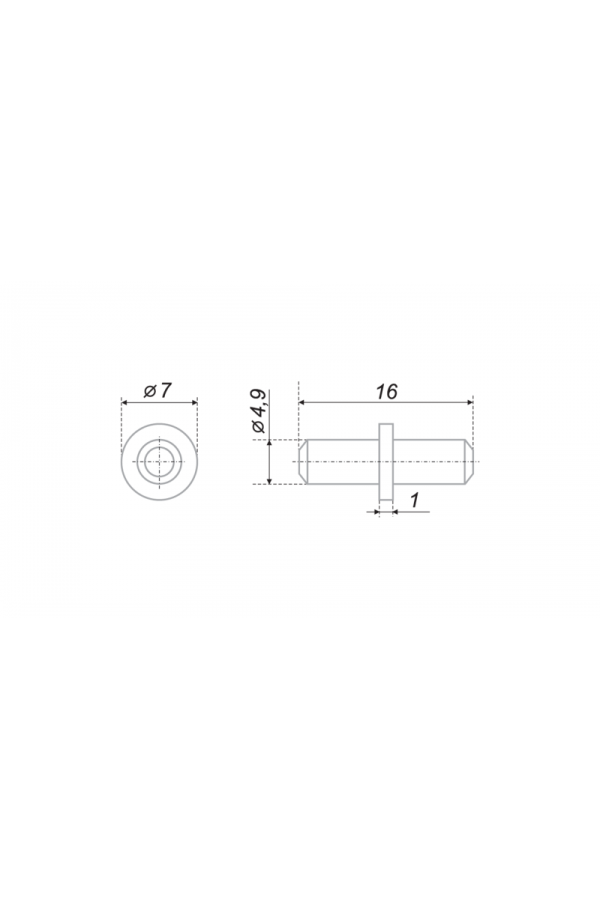 Полкодержатель P101ZN.56