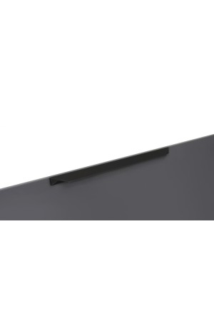 Мебельная ручка RICK RS157BL.3/320