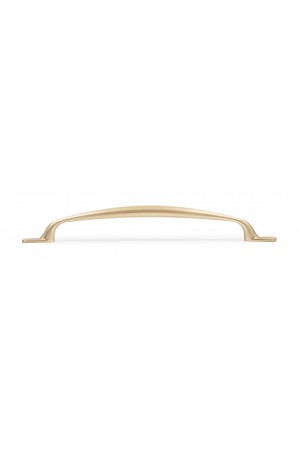 Мебельная ручка NEOLINE RS220SG.4/160