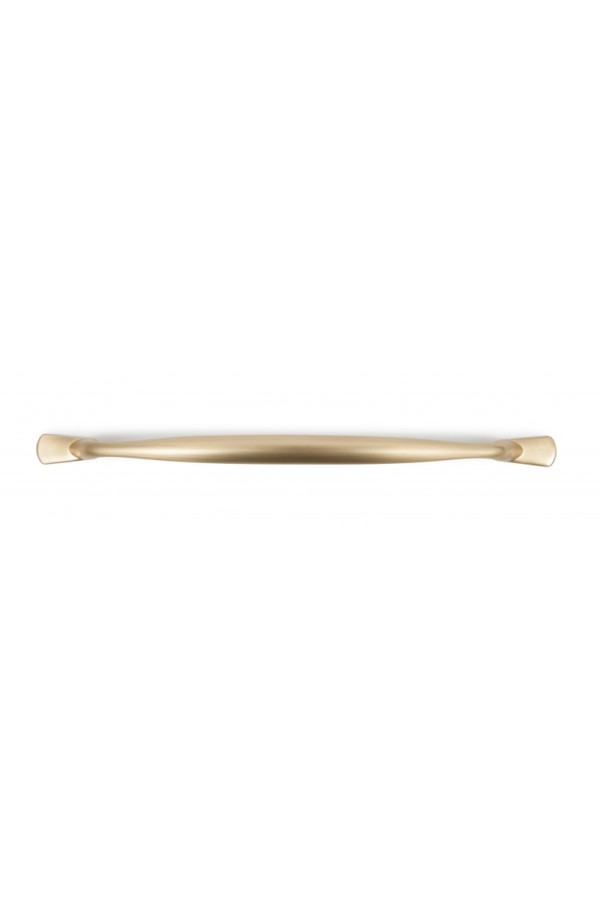 Мебельная ручка NEOLINE RS220SG.4/160