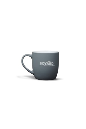 Кружка   BOYARD S501GRPH.1/380/2023