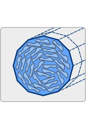 накладка МДФ № 1 / 6*20*2800 клён танзау