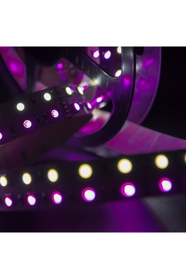 Лента светодиодная многоцветная RGB+White SMD5050 (60 диодов на мерт) 24В 28,8Вт/м, катушка 5м