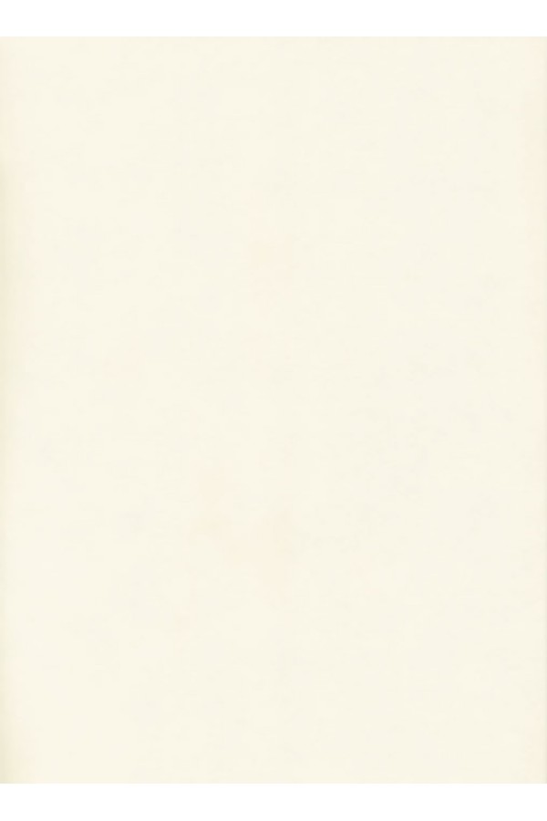 столешница СОЮЗ 1200*3050*38*1U*10М белый