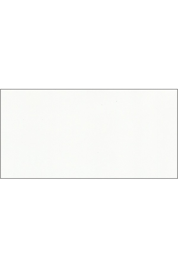 Пластик HPL 3050х1300х0,6 PF LM 0006GL белая луна с защитной пленкой Lemark