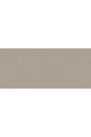 Пластик HPL 3050х1300х0,6 PF LM 1002GL титан с защитной пленкой Lemark