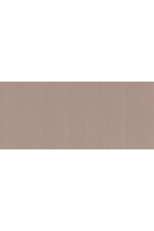 Пластик HPL 3050х1300х0,6 PF LM 0040GL капучино с защитной пленкой Lemark