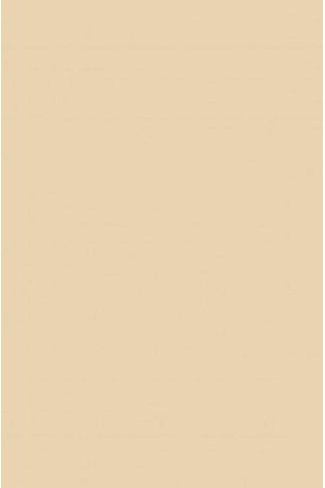 Пластик HPL 3050х1300х0,7 PF Beige Clean Touch с защитной пленкой Melatone