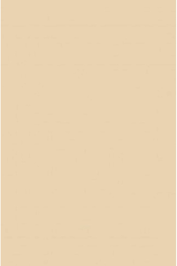 Пластик HPL 3050х1300х0,7 PF Beige Clean Touch с защитной пленкой Melatone