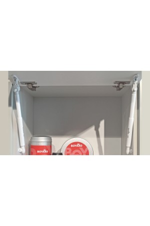 Газовый лифт нагрузка 50Н с доводчиком GL106W/50/3 Boyard