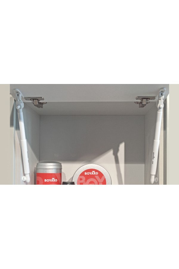 Газовый лифт нагрузка 50Н с доводчиком GL106W/50/3 Boyard