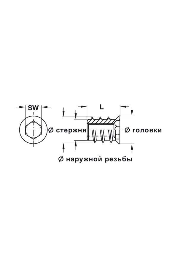 муфта ввинчиваемая М6/10,0*13мм, сталь оцинкованная 030.10.863 Hafele
