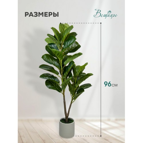 Фикус в цементном горшке, Д140 Ш140 В960