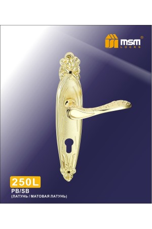 Ручка 250 L Полированная латунь / Матовая латунь (PB/SB)