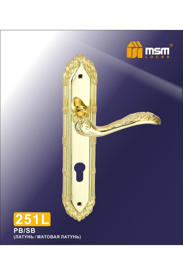 Ручка 251 L Полированная латунь / Матовая латунь (PB/SB)