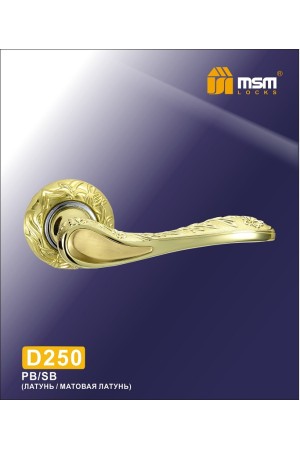 Ручка на круглой накладке D250 Полированная латунь / Матовая латунь (PB/SB)