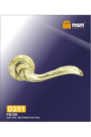 Ручка на круглой накладке D251 Полированная латунь / Матовая латунь (PB/SB)