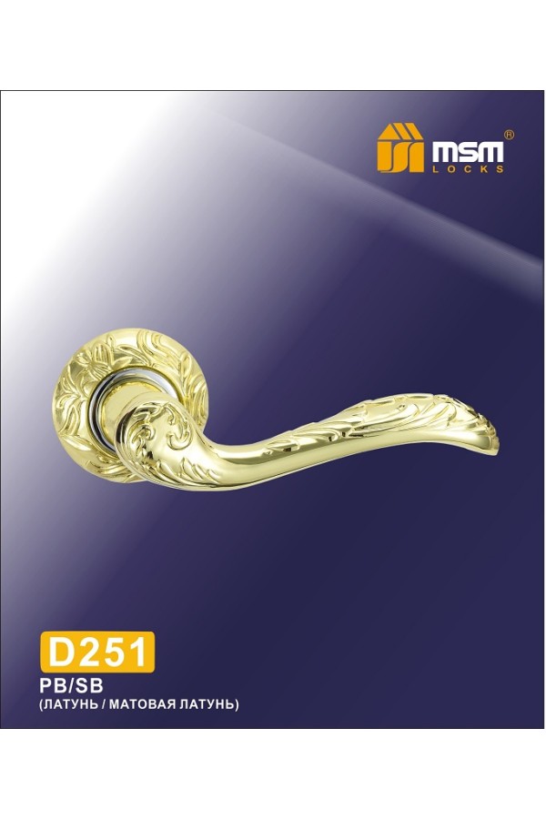 Ручка на круглой накладке D251 Полированная латунь / Матовая латунь (PB/SB)