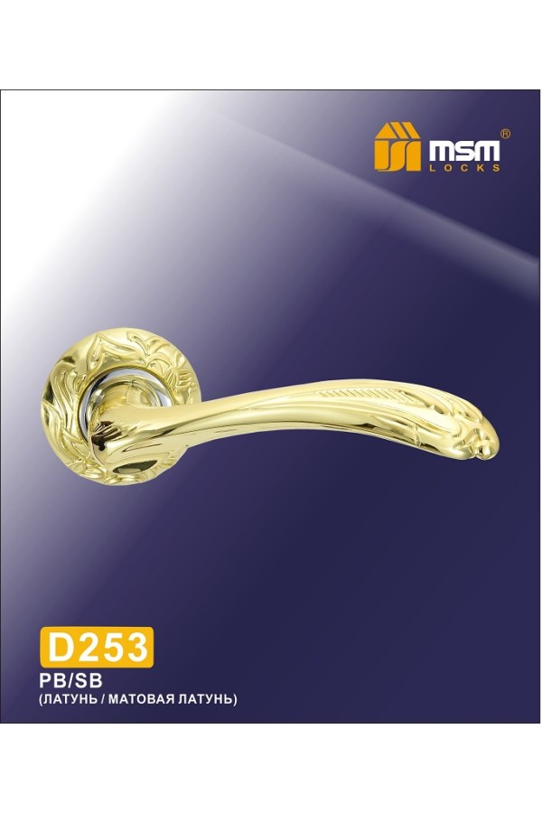 Ручка на круглой накладке D253 Полированная латунь / Матовая латунь (PB/SB)