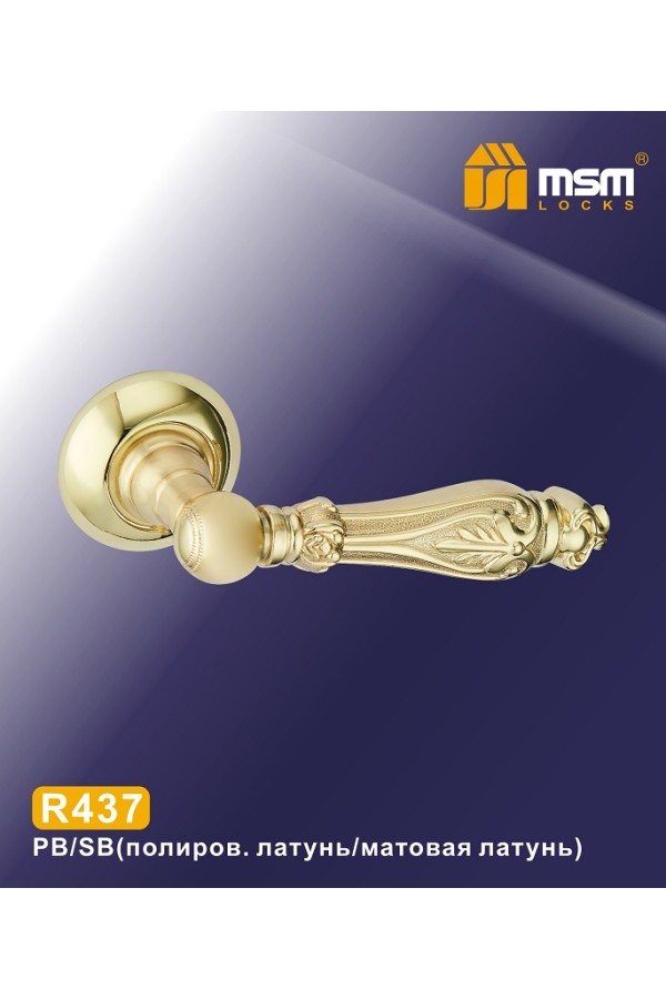 Ручки на круглой накладке R437 Полированная латунь / Матовая латунь (PB/SB)