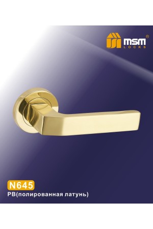 Ручки на круглой накладке N645 Полированная латунь (PB)