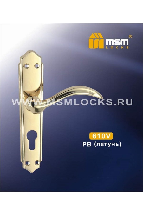 Ручка на планке 610V Полированная латунь (PB)