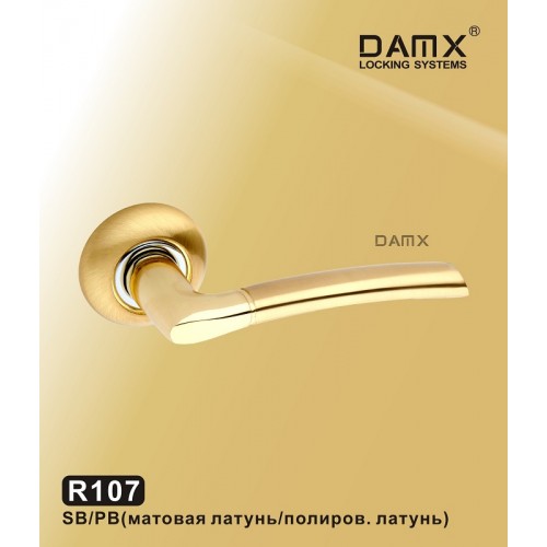 R107 DAMX Матовая латунь / Полированная латунь (SB/PB)