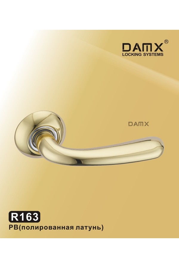 R163 DAMX  Полированная латунь (PB)