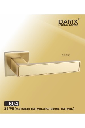 T604 Матовая латунь / Полированная латунь (SB/PB)