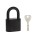 Замок Fuaro (Фуаро) навесной PL-WEATHER-1540 Black 4 fin key ( PL-15-40) диск. /блистер Замок Fuaro (Фуаро) навесной PL-WEATHER-1540 Black 4 fin key ( PL-15-40) диск. /блистер