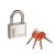 Замок Fuaro (Фуаро) навесной PL-INOX FORCE IF-50 4 key (дисковый ключ) Замок Fuaro (Фуаро) навесной PL-INOX FORCE IF-50 4 key (дисковый ключ)