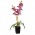 Орхидея в пластмассовом горшке, Д130 Ш130 В800, малиновый