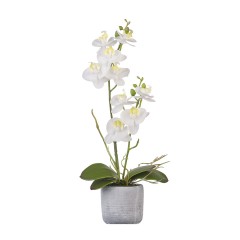 Орхидея в керамическом кашпо белая 36 см