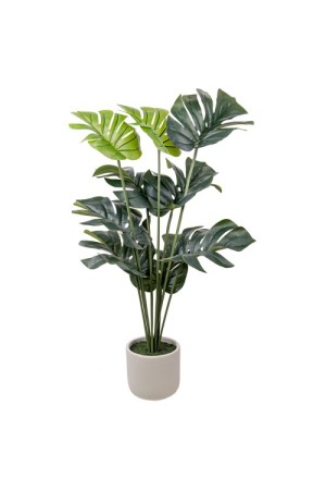 Монстера в цементном горшке, Д150 Ш150 В890