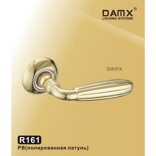 Ручка на круглой накладке R161 DAMX Цвет: PB - Полированная латунь