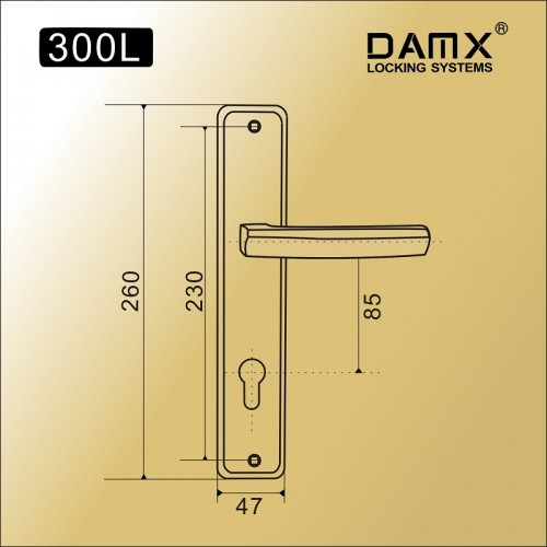 Ручка на планке DAMX 300L Полированная латунь (PB)