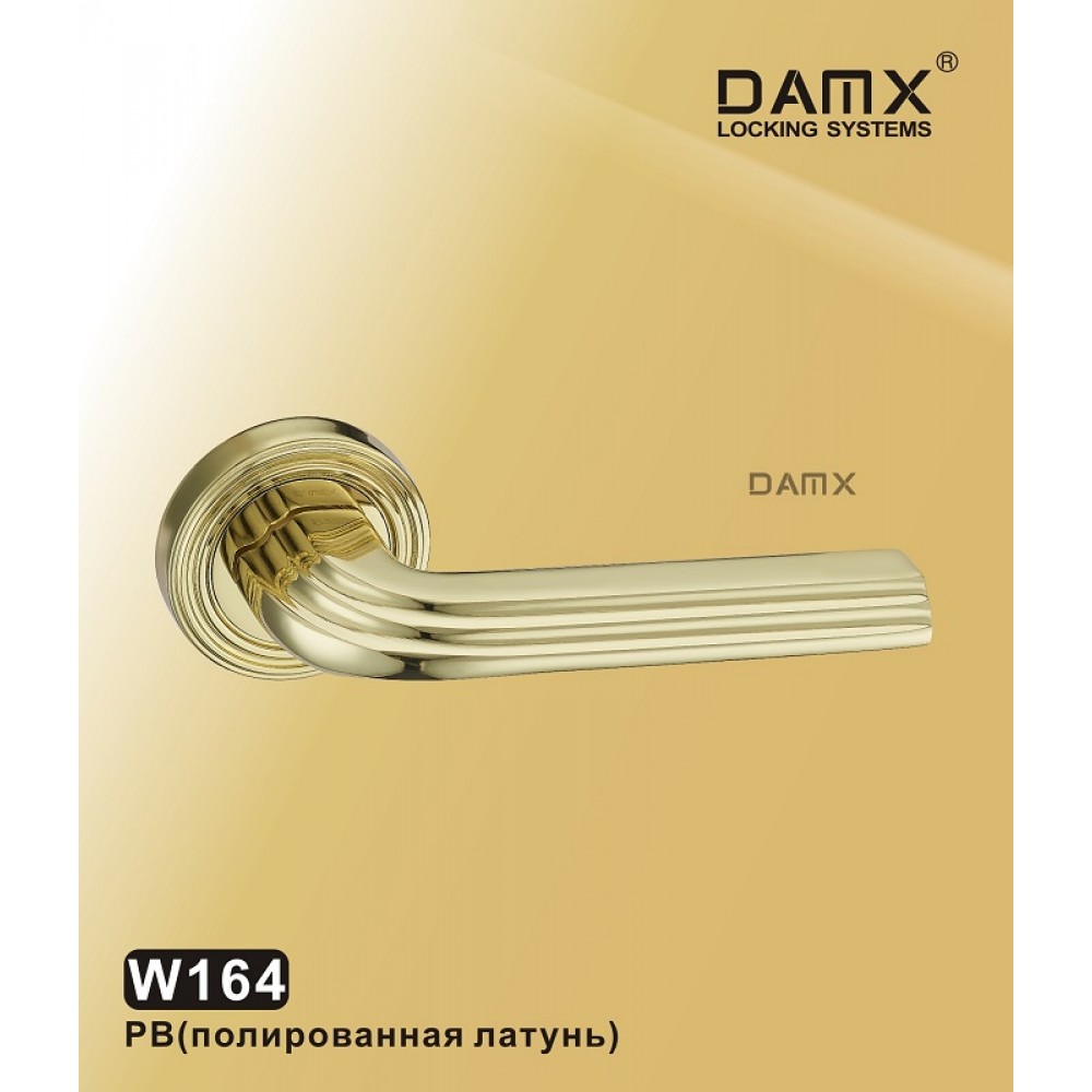 Ручка на круглой накладке W164 DAMX Цвет: PB - Полированная латунь