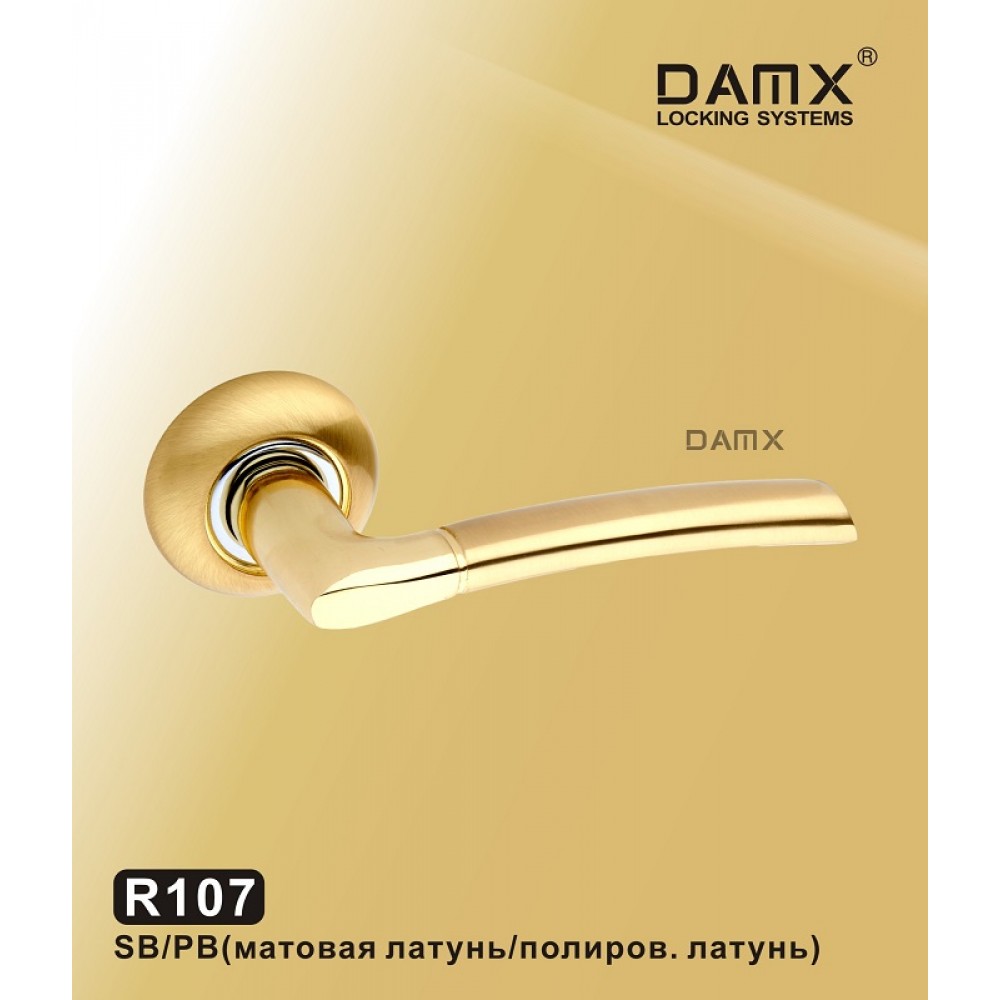 Ручка на круглой накладке R107 DAMX Цвет: SB/PB - Матовая латунь / Полированная латунь