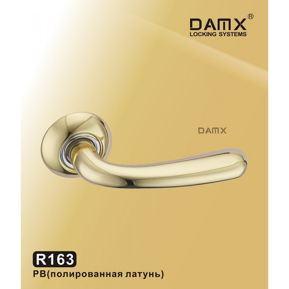 Ручка на круглой накладке R163 DAMX Цвет: PB - Полированная латунь