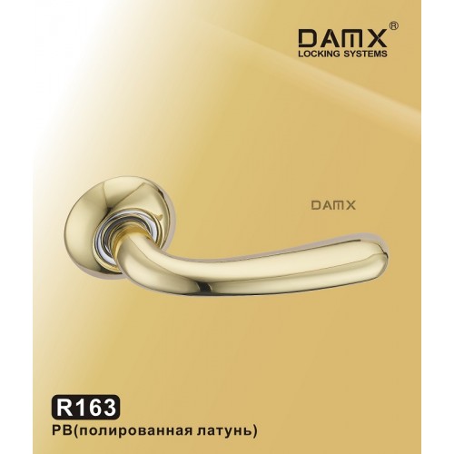 R163 DAMX  Полированная латунь (PB)