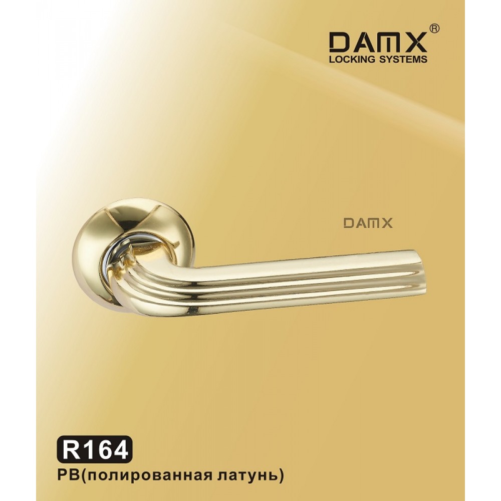 Ручка на круглой накладке R164 DAMX Цвет: PB - Полированная латунь