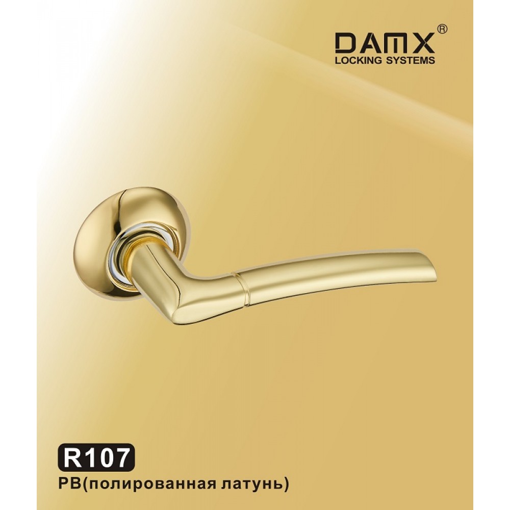 Ручка на круглой накладке R107 DAMX Цвет: PB - Полированная латунь