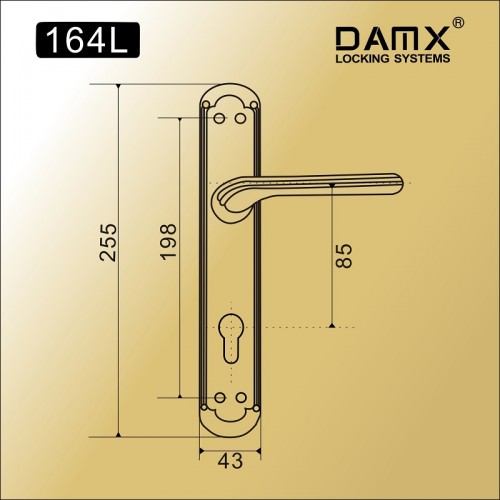 DAMX 164L Полированная латунь (PB)