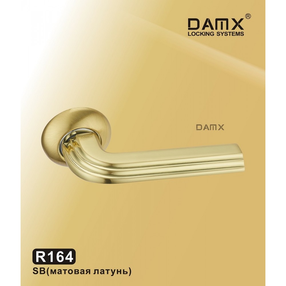 Ручка на круглой накладке R164 DAMX Цвет: SB - Матовая латунь