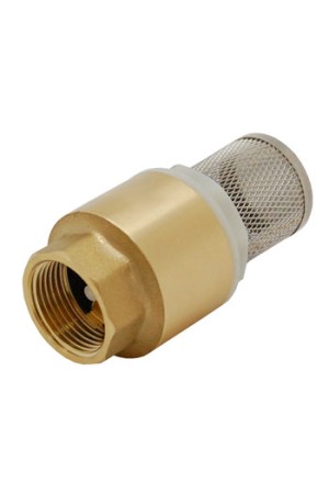 Клапан обратный с сеткой SM-02605 1 дюйм F с пластиковым седлом