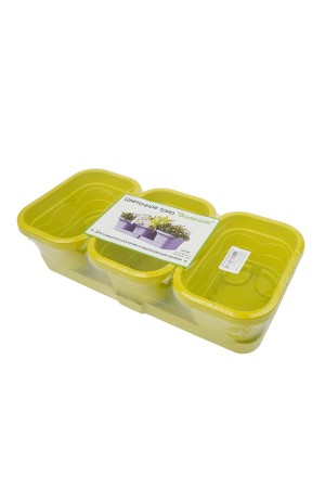 Цветочное трио 