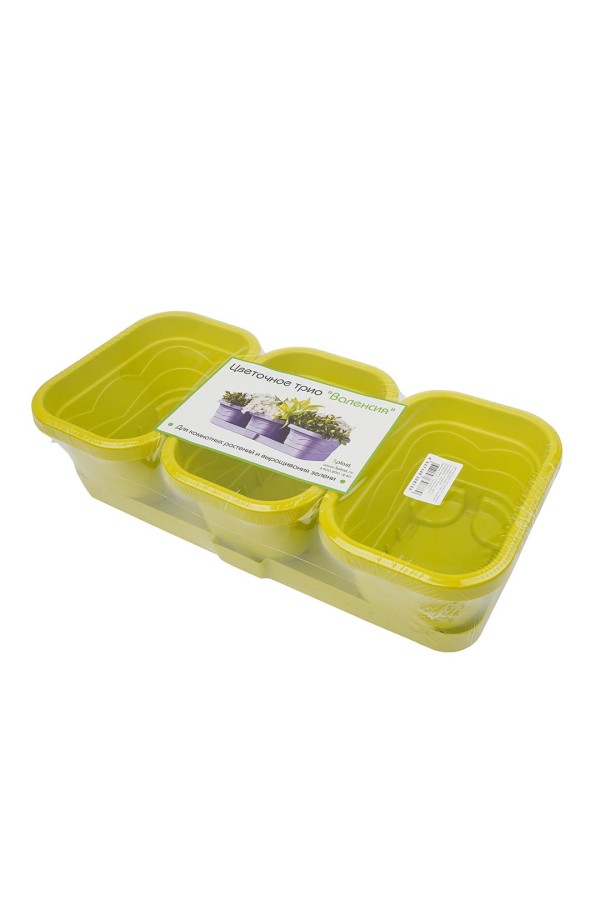 Цветочное трио 