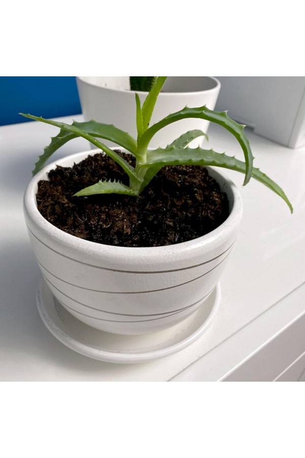 Керамический горшок с подставкой, 1,05л., Д143 Ш143 В105, белый