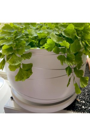 Керамический горшок с подставкой, 2, 43л., Д190 Ш190 В130, белый