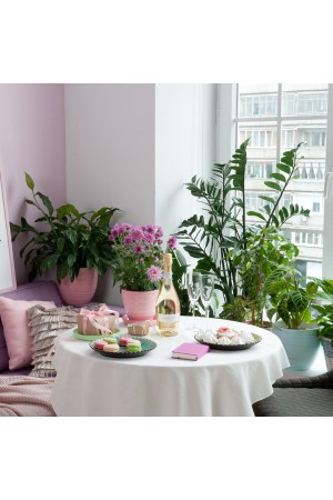 Керамический горшок с подставкой, 1, 4л., Д145 Ш145 В130, коралловый